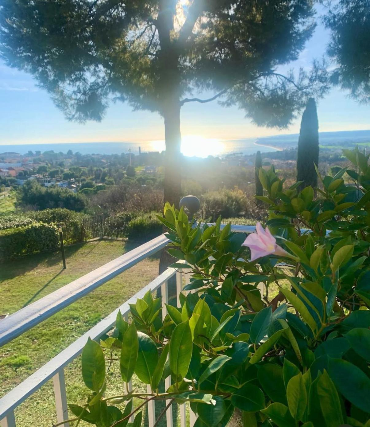 Tra Gli Alberi E Il Mare Bed & Breakfast Sirolo Exterior photo