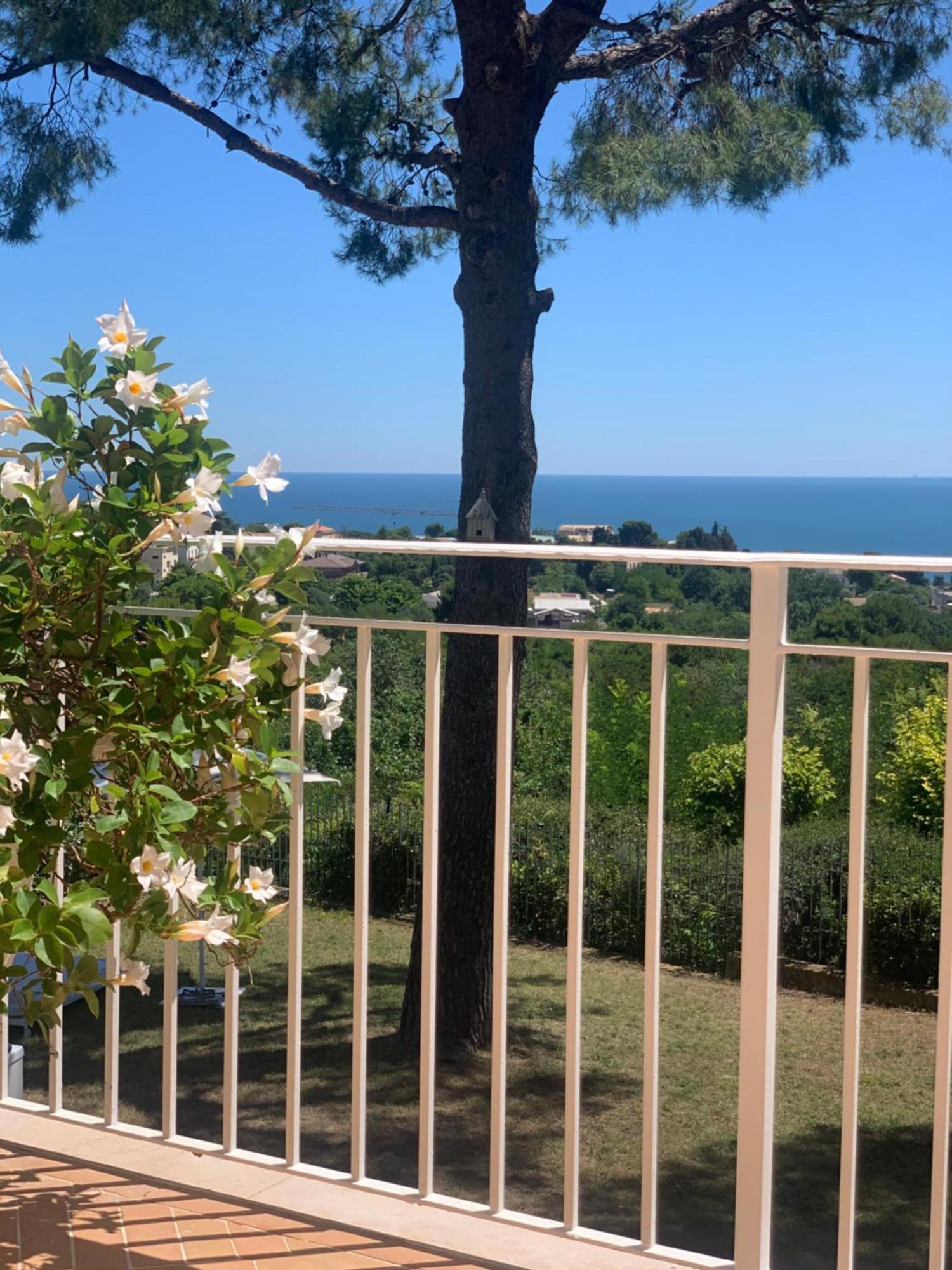 Tra Gli Alberi E Il Mare Bed & Breakfast Sirolo Exterior photo