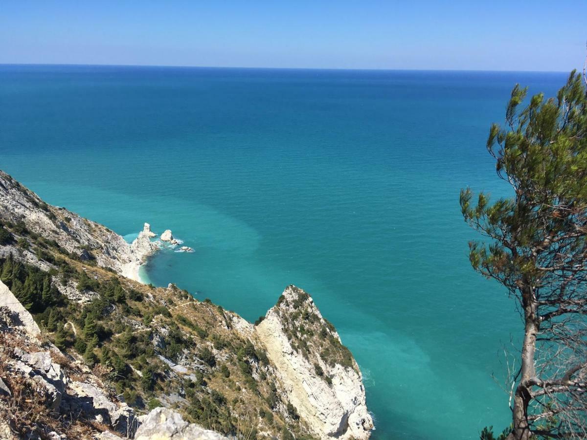 Tra Gli Alberi E Il Mare Bed & Breakfast Sirolo Exterior photo